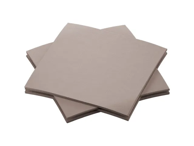 Duni Servet 20x20cm BIO Dunisoft 1/4 vouw Grijs 2880 Stuks