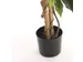 Kunstplant Mica Ficus groen in pot 85x150cm