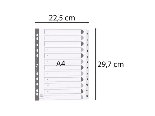Exacompta Tabbladen A4 Jan-Dec