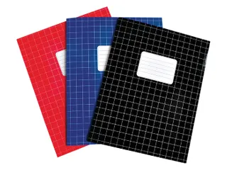 Schrift SOHO Basic A5 ruit 10x10mm 80 pagina's 60gr assorti 8+2 gratis - 2