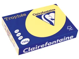 Trophée Pastel Gekleurd Papier A4 120g 250 Vel Citroengeel