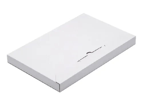 Brievenbusbox CleverPack A5 230x160x26mm karton wit pak à 5 stuks