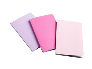 Notitieboek Bruynzeel A6 40vel glitter assorti set van 3 stuks - 2
