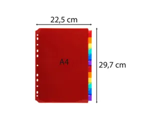 Tabbladen Pp Met Neutrale Tabs In Etikettenhouder 12 Tabs A4 - 8