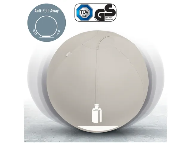 Leitz Ergo actieve zitbal anti-rol met stop-functie 65cm lichtgrijs