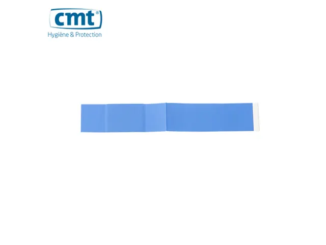 Pansement hygiénique détectable PE Bleu 20x120mm 100 pièces