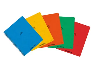 Schrift Aurora 210x165mm ruit 5x5mm 120 pagina's 80gr assorti - 3