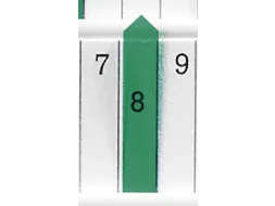 planningspijl,B 7mm,kunststof,groen-transparant