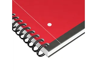 Spiraalblok Oxford International Notebook A4+ ruit 5mm - 13