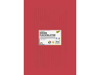 Vlechtpapier Folia 130gr 35x50cm 10 vel assorti kleuren - 1
