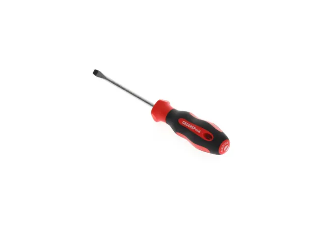 R38105519 2C schroevendraaier sleuf 5,5mm 1x100mm