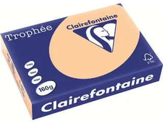 Trophée Pastel gekleurd papier A4 160 gram 250vel Abrikoos - 1
