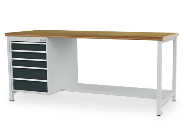 werkbank,HxBxD 859x2000x750mm,multiplexblad,4voeten,uitrusting: 5laden