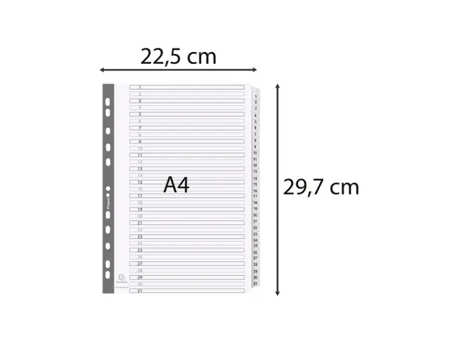 Tabbladen karton 160g A4 1-31 wit