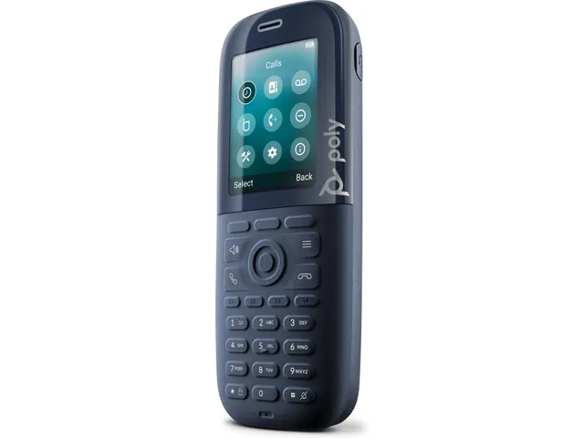 Poly Rove R30 + B2 Basisstation Single- en Dual-Cell DECT