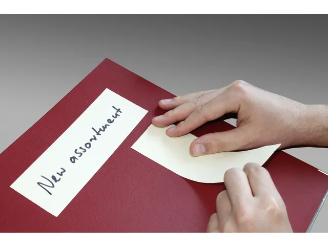 Dispenser + Rol Voor Rollen 60Mmx10M