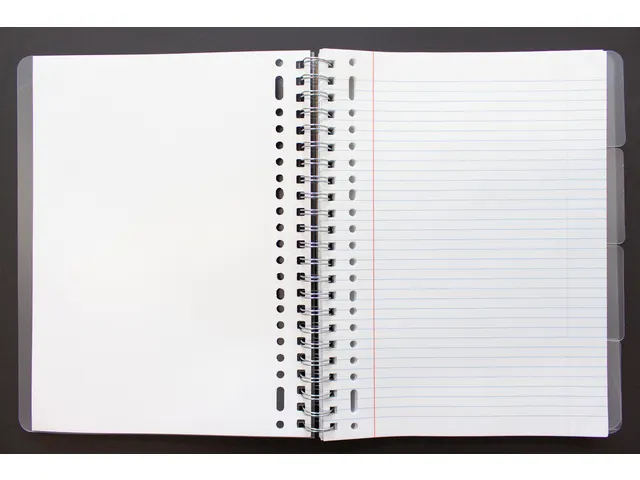 Bloc Race (RS) A4 4-en-1 200 pages 60g Ligné micro avec élastique