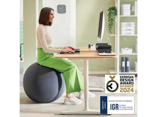Leitz Ergo Actieve Zitbal anti-rol 75cm Donkergrijs - 14