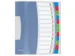 Esselte Sorteermap Vivida A4 12 vaks Assorti PP