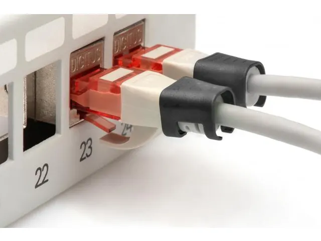 Kleurclips voor RJ45-kabels Zwart verpakking van 100 stuks