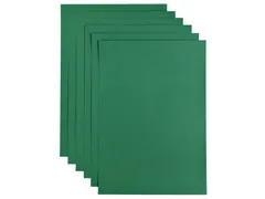 Kopieerpapier Papicolor A4 100gr 12 vel dennengroen