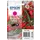 Epson inktcartridge 503 Singlepack C13T09Q34010 Magenta 165 pagina's