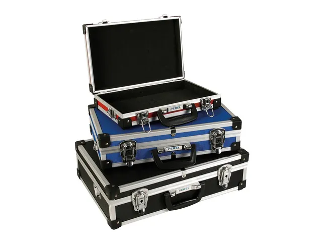 Set met 3 opbergkoffers 460x335x150mm