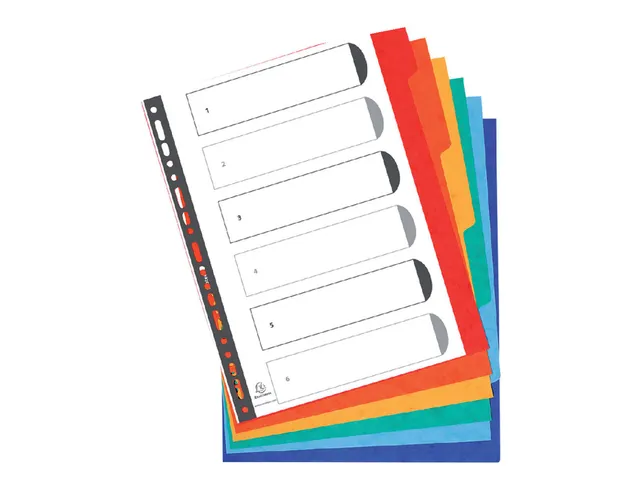 Tabbladen Exacompta A4 Extra Breed 11-Gaats 6-Delig Karton Assorti