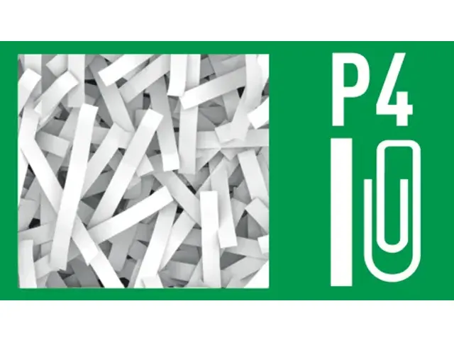 Destructeur Leitz IQ Auto+ Pro 600 P4 particules 4x28mm