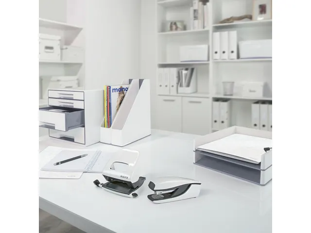 Ringband Leitz WOW A4 4-rings D-mech 25mm karton wit