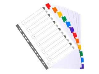 Tabblad Karton 160 Gram A4 + index 12 tabs wit - 6