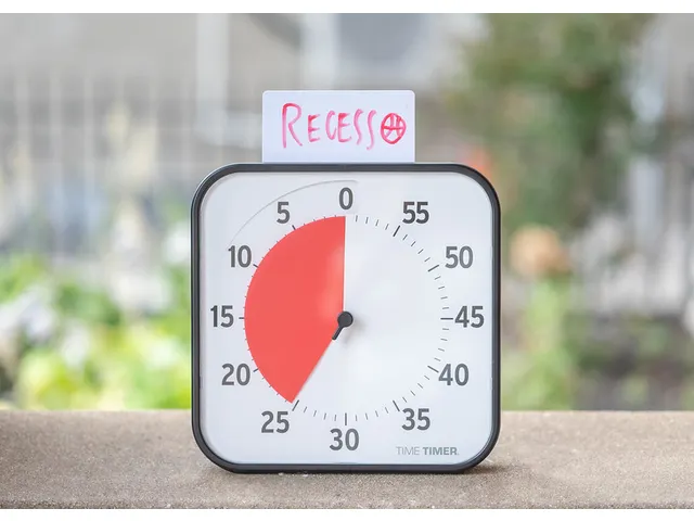 Time Timer Original large zwart