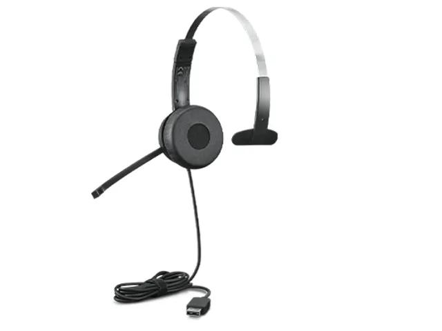 Lenovo 100 Mono Headset Bedraad Kantoor/callcenter 20 - 20000 Hz