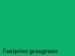 Kopieerpapier Fastprint A4 120 Gram Grasgroen 250vel - 1