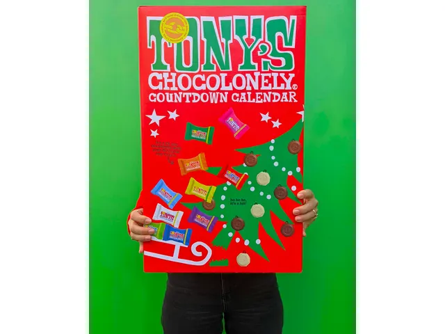 Chocolade Tony's Chocolonely Kerst big Tiny calendar 225 Gram assorti