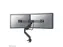 Monitorarm 2 Schermen Neomounts DS75-450BL2 zwart