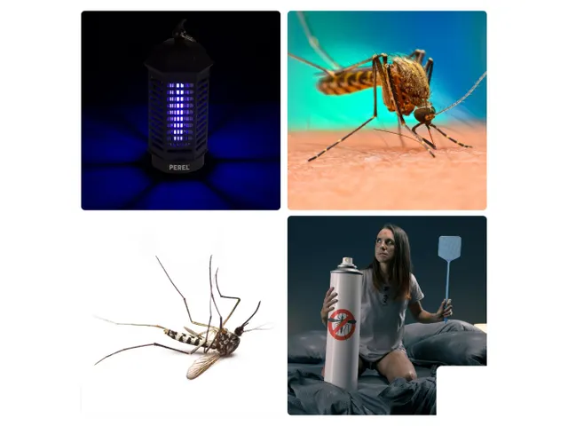Tue-insectes électrique - 4W