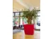jardinière,trapézoïdal,PE,rouge rubis,HxlxP 900x1000x1000mm