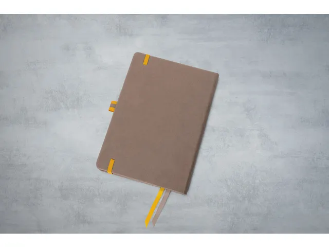 Cahier Linescape A5 brun ligné couverture rigide
