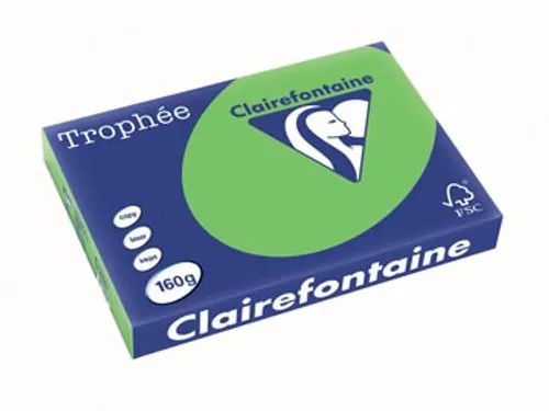 Trophée Intens gekleurd papier A3 160 gram 250vel Grasgroen