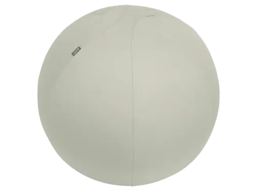 Leitz Ergo actieve zitbal anti-rol met stop-functie 65cm lichtgrijs