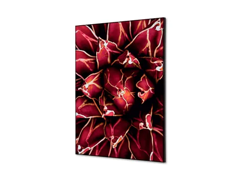 Wanddecoratie Textiel Set A2 Cactus Rood