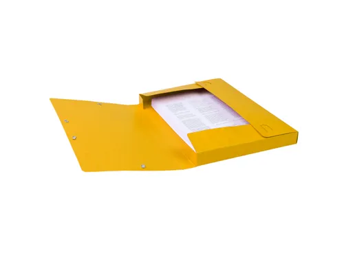CARTOBOX glanskarton rug 25mm geel