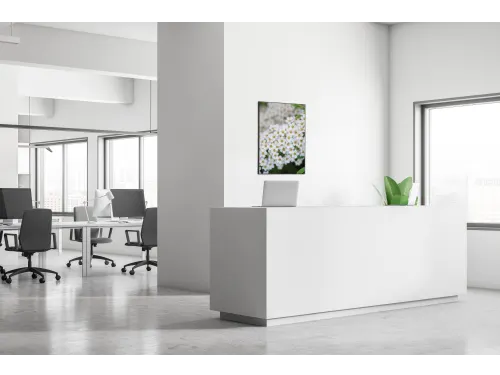 Wanddecoratie Textiel Set A2 Witte Bloem Spirea
