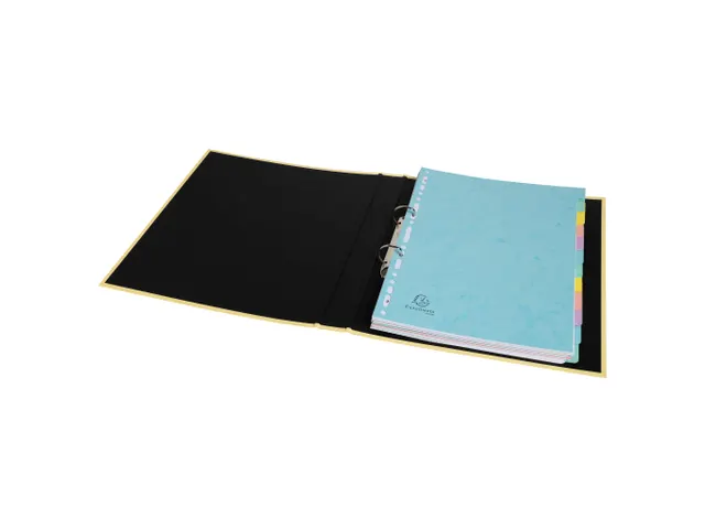 Tabblad In Glanskarton 400G/M2 Aquarel 12 Verdelingen A4 Assorti