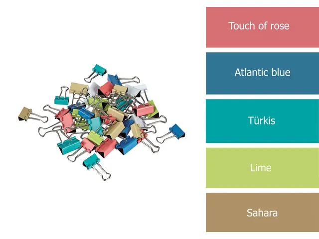 Papierklem MAUL 215 foldback 7mm + 9mm assorti