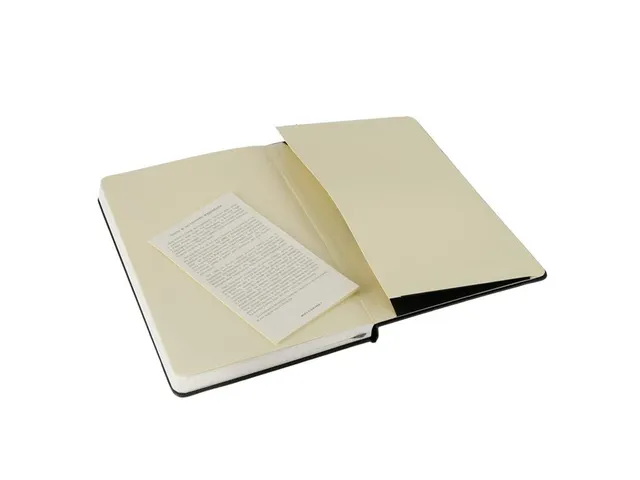 Notitieboek Moleskine large 130x210mm ruit 5x5mm hard cover zwart