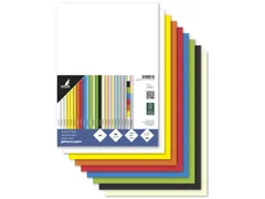 Papier Kangaro A4 80grs assorti pak 100 vel (10x10)