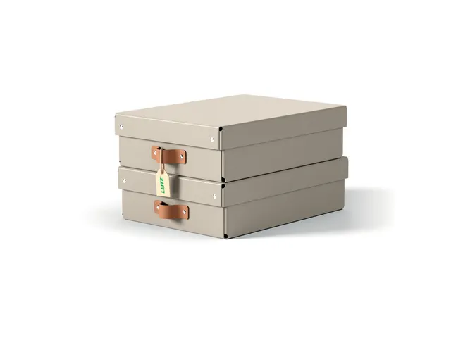 Leitz Puro Opbergdoos met deksel medium laag 8L set van 2 beige