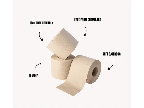 Toiletpapier TGR jumbo klein 2-laags 180m naturel
